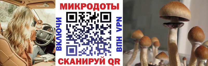 Галлюциногенные грибы MAGIC MUSHROOMS продажа наркотиков MEGA ТОР Салехард